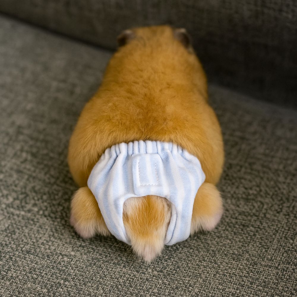 Absorbent Squirrel Diapers Lea - Period Panty Absorbent review and price